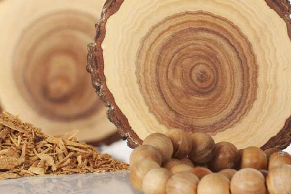 گرانترین چوب مبل کدام است؟