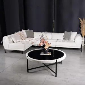 سرویس مبلمان رنزو