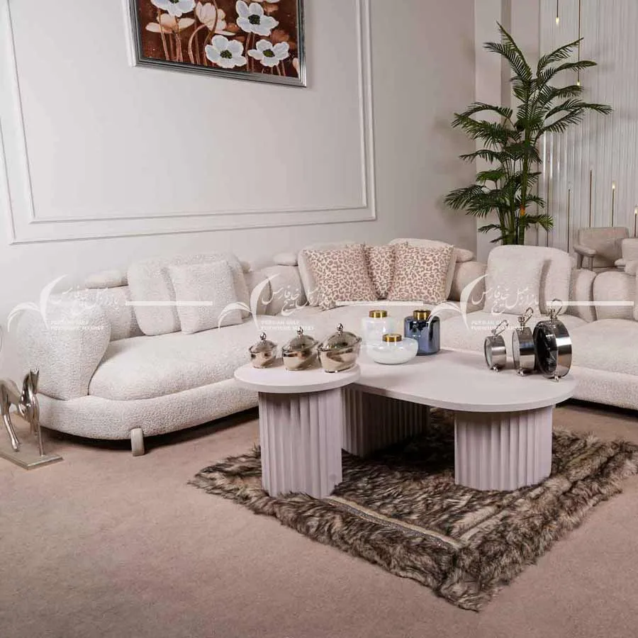 سرویس مبلمان پروتن