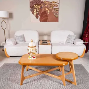 سرویس مبلمان لیون